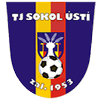 Sokol Usti